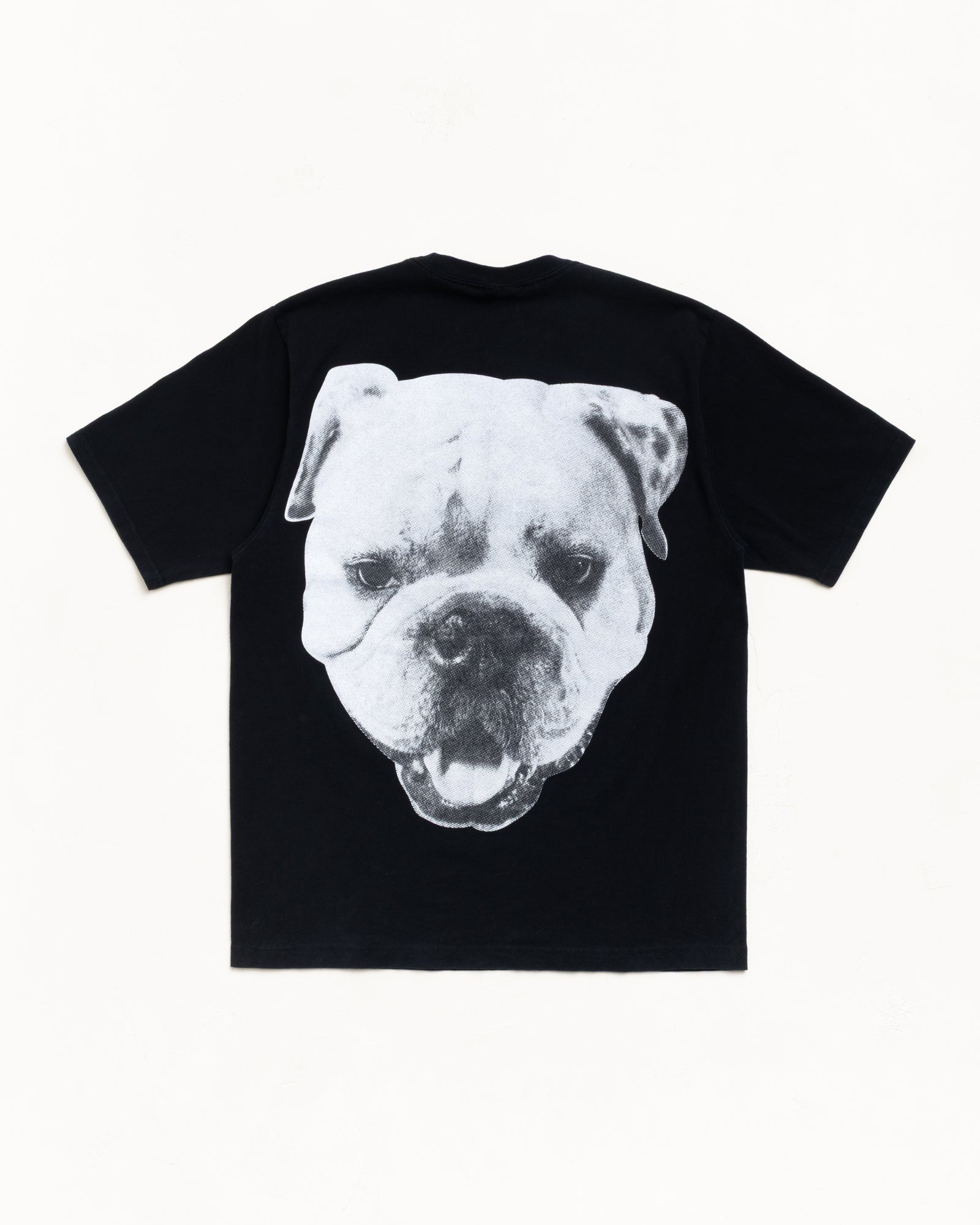 BIG DOG STONE WASHED TEE - Image 2