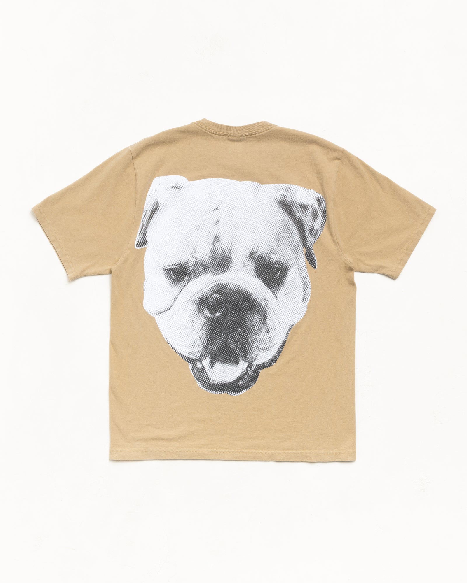 BIG DOG STONE WASHED TEE - Image 2