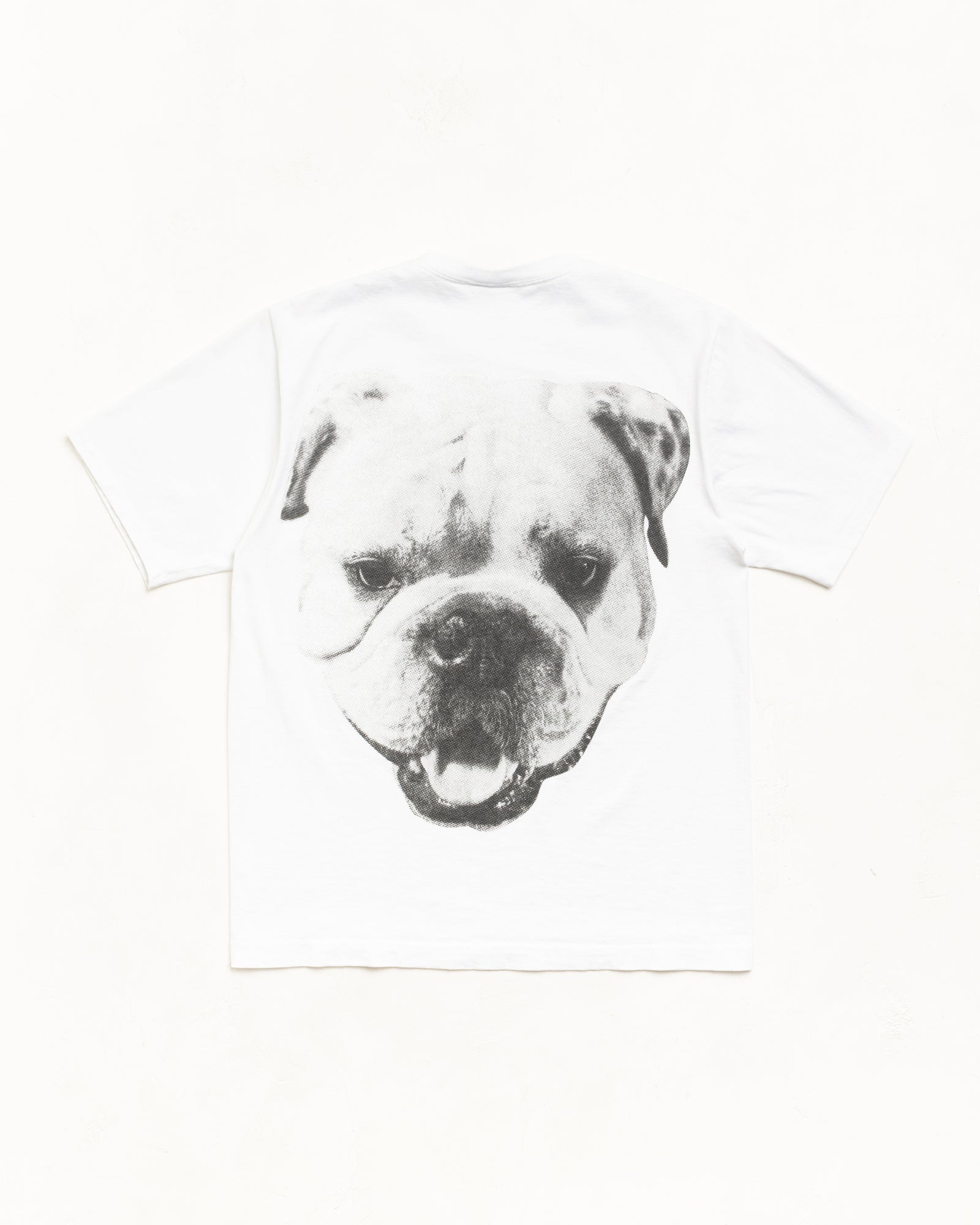 BIG DOG STONE WASHED TEE - Image 2